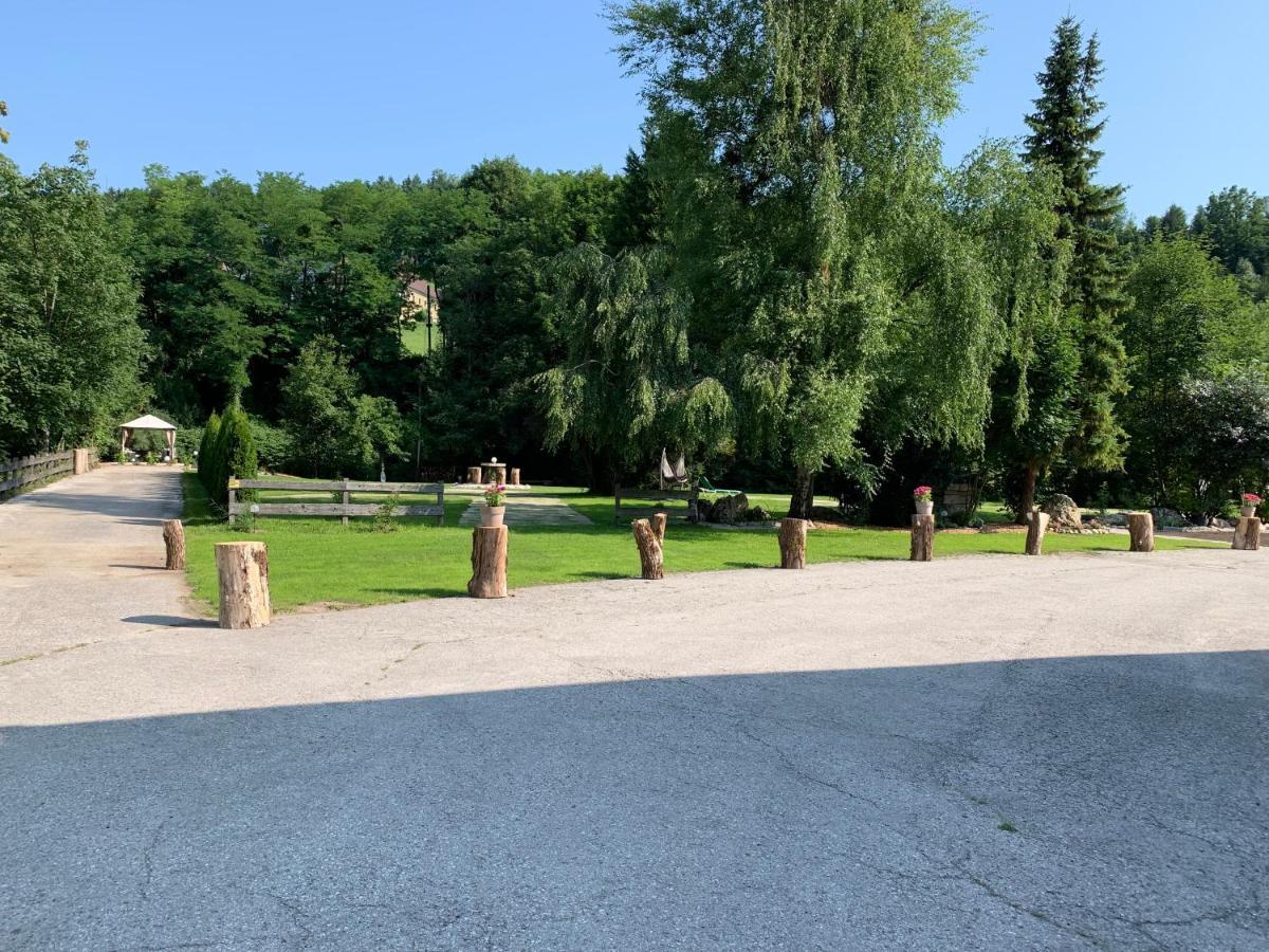 Landgasthof Steinmuehl Hofbauer Fruehstueckspension Und Campingplatz ไวด์โฮเฟิน อัน แดร์อิบส์ ภายนอก รูปภาพ
